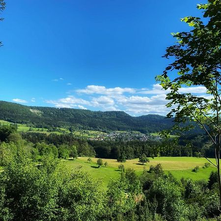 Apartment Sonnenbaenkle Balingen Dış mekan fotoğraf